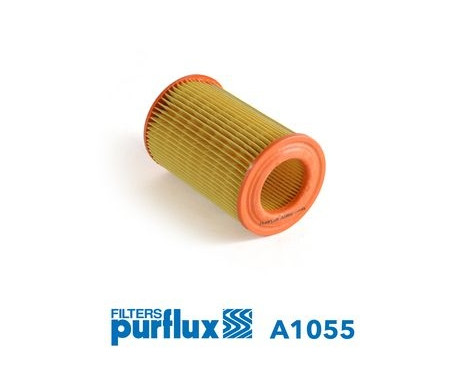 Air Filter A1055 Purflux