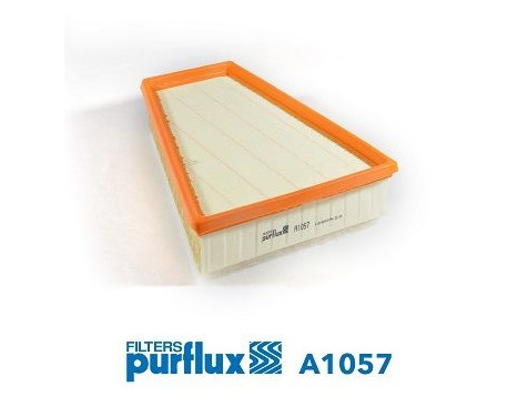 Air Filter A1057 Purflux