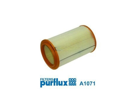 Air Filter A1071 Purflux