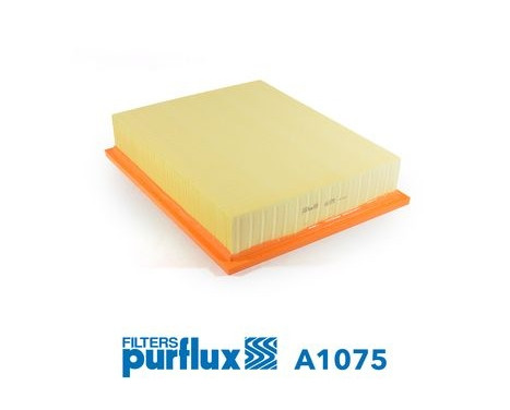 Air Filter A1075 Purflux