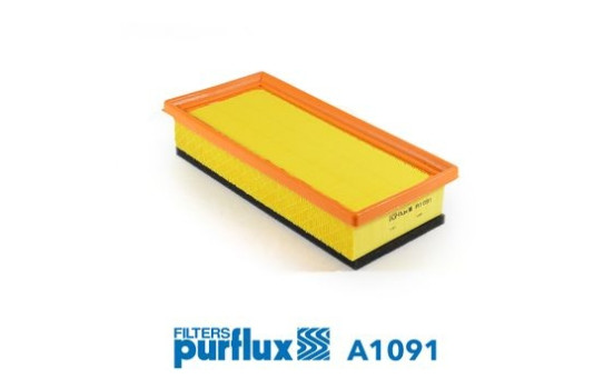 Air Filter A1091 Purflux
