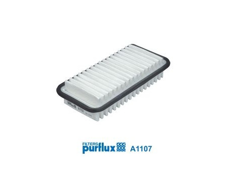 Air Filter A1107 Purflux