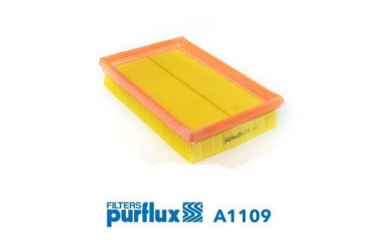 Air Filter A1109 Purflux
