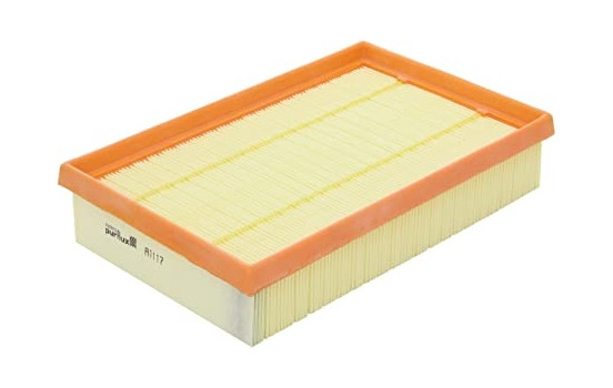 Air Filter A1117 Purflux