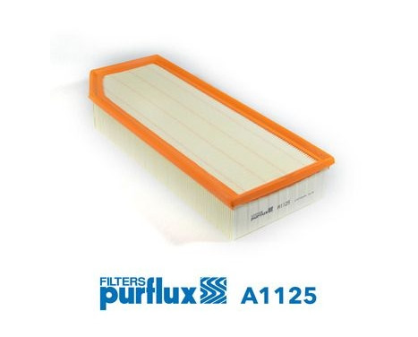 Air Filter A1125 Purflux