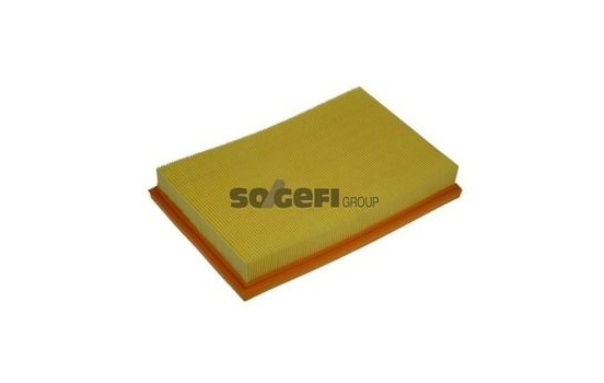 Air Filter A1131 Purflux
