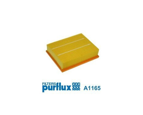 Air Filter A1165 Purflux