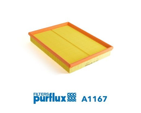 Air Filter A1167 Purflux