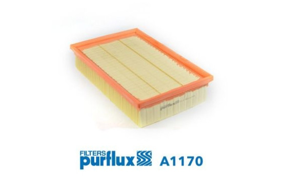Air Filter A1170 Purflux