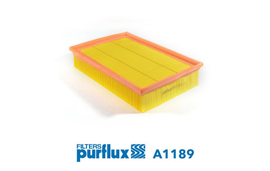 Air Filter A1189 Purflux
