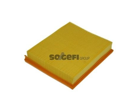 Air Filter A1192 Purflux