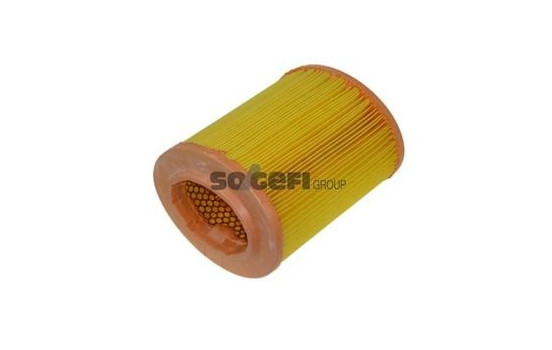 Air Filter A1211 Purflux
