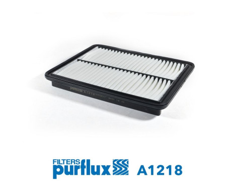 Air Filter A1218 Purflux