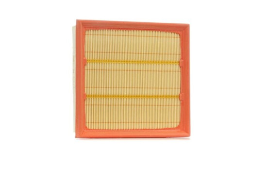 Air Filter A1223 Purflux