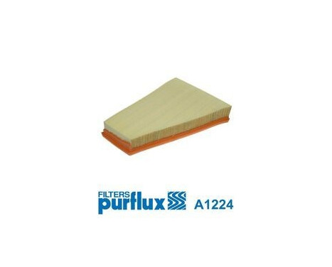 Air Filter A1224 Purflux