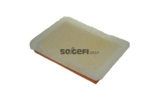 Air Filter A1228 Purflux