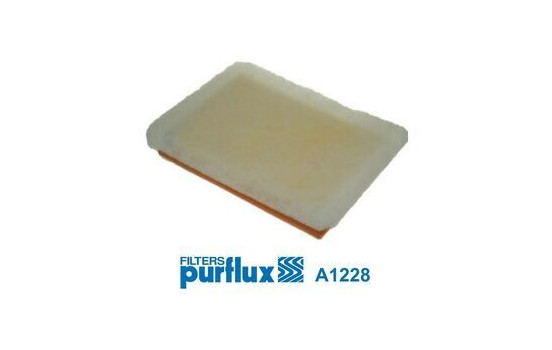 Air Filter A1228 Purflux