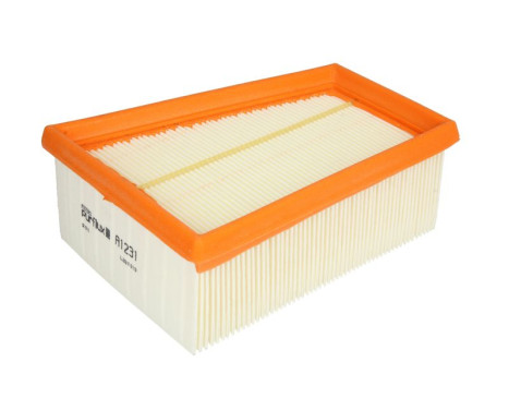 Air Filter A1231 Purflux