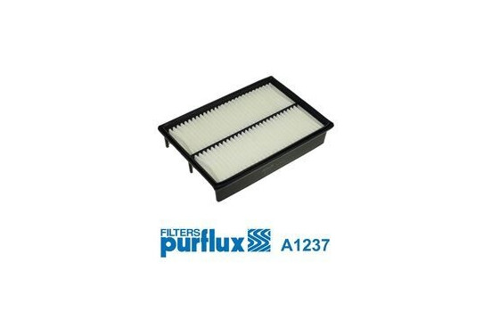 Air Filter A1237 Purflux
