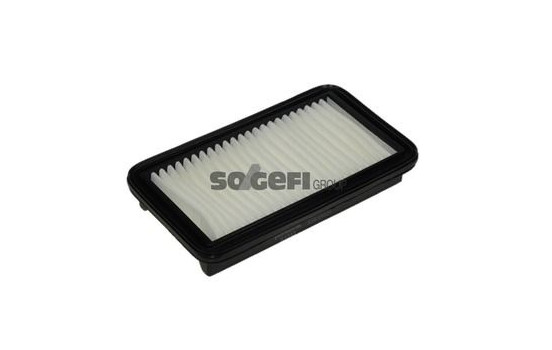 Air Filter A1241 Purflux
