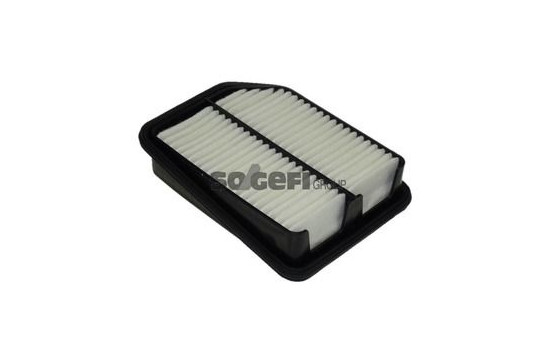 Air Filter A1245 Purflux