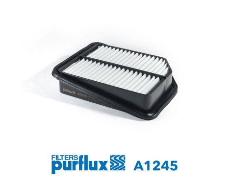 Air Filter A1245 Purflux