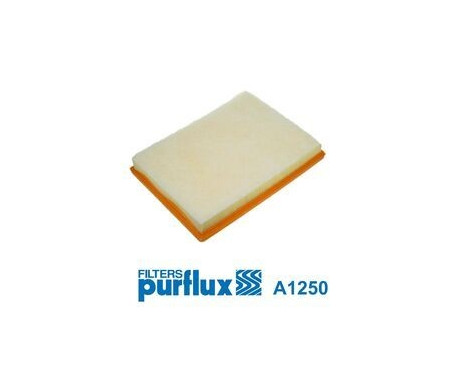 Air Filter A1250 Purflux