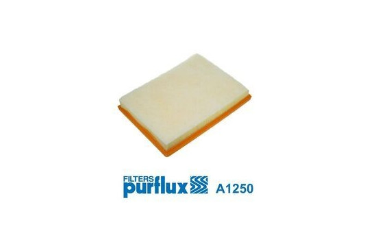 Air Filter A1250 Purflux