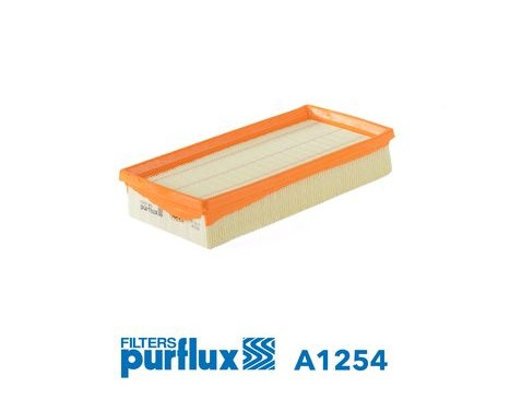 Air Filter A1254 Purflux