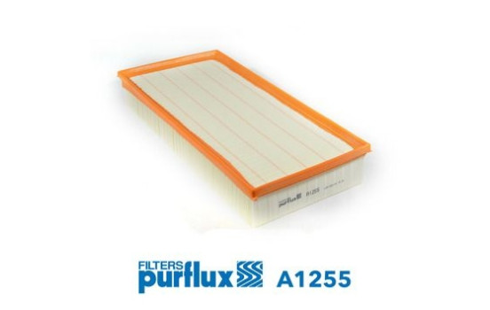 Air Filter A1255 Purflux