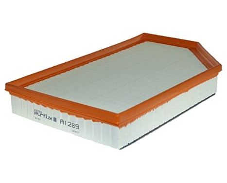 Air Filter A1289 Purflux