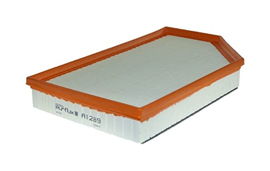 Air Filter A1289 Purflux