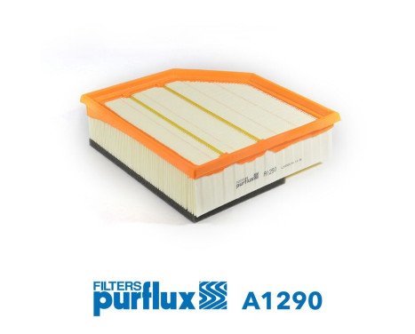 Air Filter A1290 Purflux