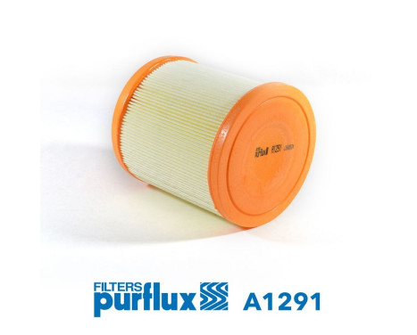 Air Filter A1291 Purflux