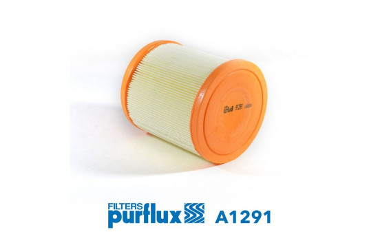 Air Filter A1291 Purflux