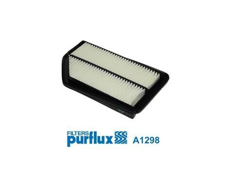 Air Filter A1298 Purflux