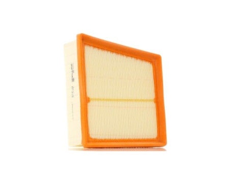 Air Filter A1315 Purflux