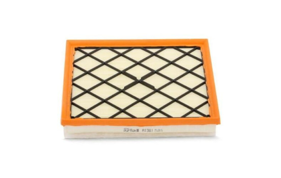 Air Filter A1381 Purflux