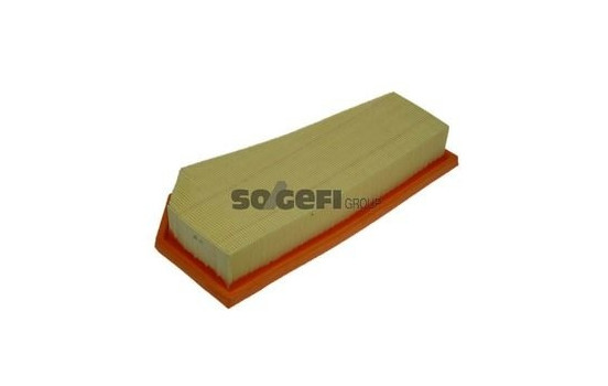 Air Filter A1383 Purflux