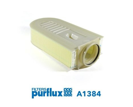 Air Filter A1384 Purflux