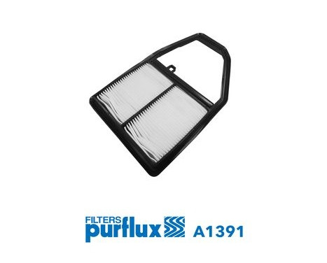 Air Filter A1391 Purflux