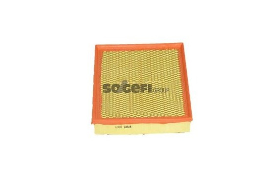 Air Filter A1402 Purflux
