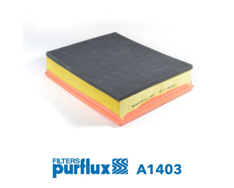 Air Filter A1403 Purflux