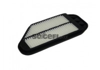 Air Filter A1405 Purflux