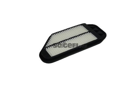 Air Filter A1405 Purflux