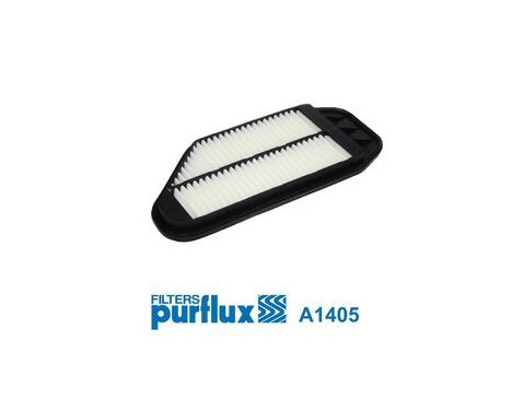Air Filter A1405 Purflux