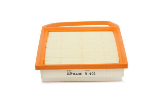 Air Filter A1406 Purflux