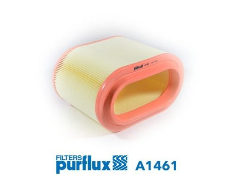 Air Filter A1461 Purflux