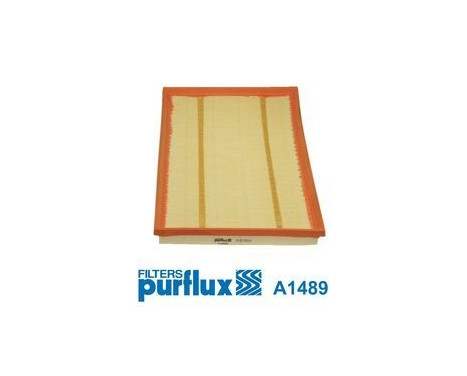 Air Filter A1489 Purflux