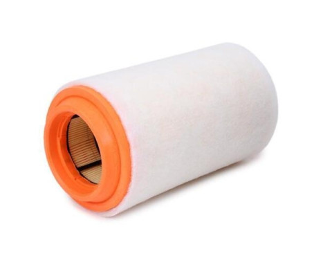 Air Filter A1494 Purflux